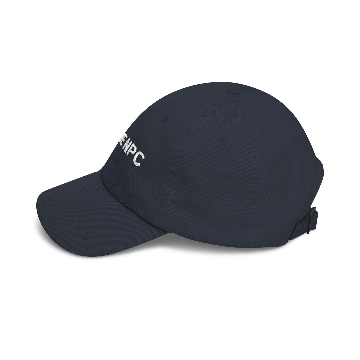 Rogue NPC - Hat | By The Way
